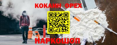 индика Можга
