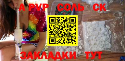 индика Можга