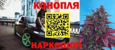 индика Можга