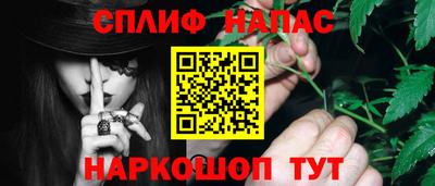 индика Можга