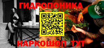 индика Можга