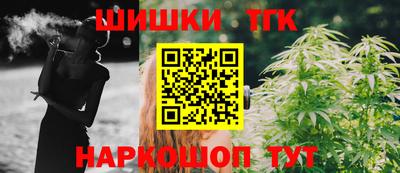 индика Можга