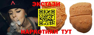 индика Можга
