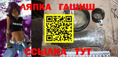 индика Можга